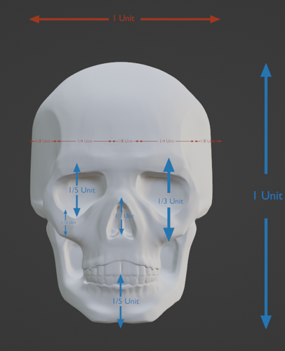 Skull Practice preview image